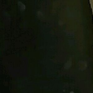 Meet your Posher, Elsa